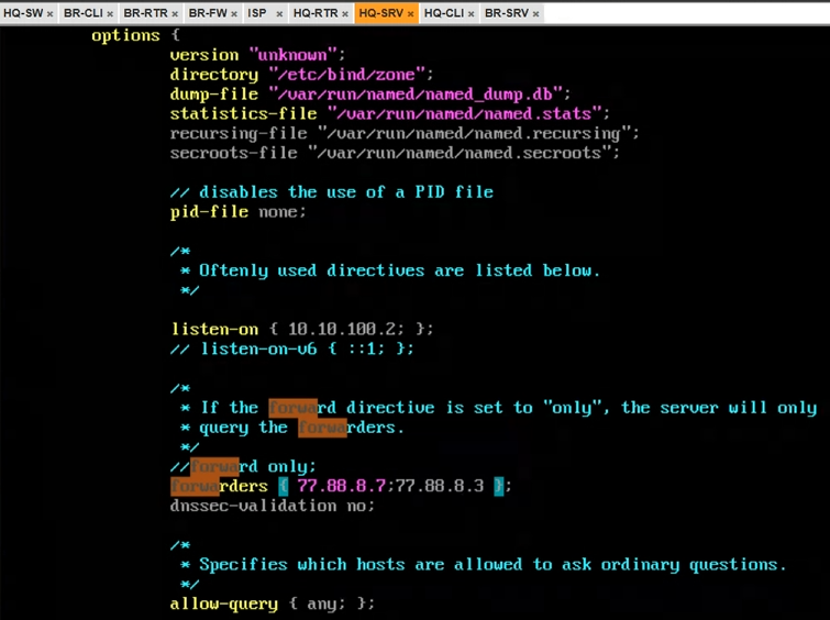 Файл /etc/bind/options.conf