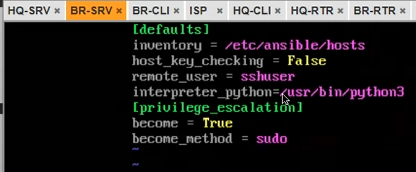 Файл /etc/ansible/ansible.cfg